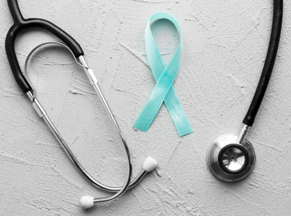 Фото: https://ru.freepik.com/free-photo/